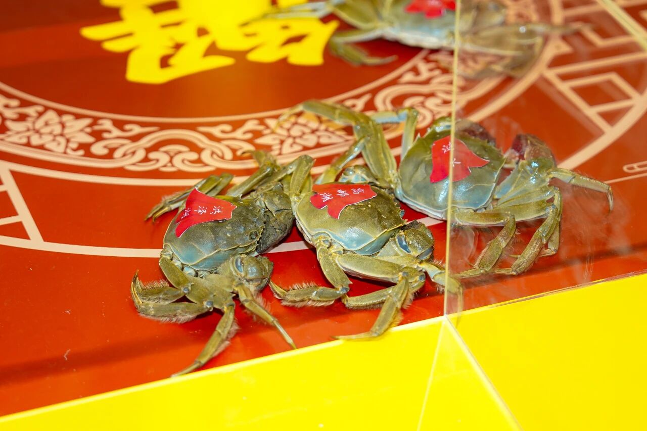 1762136285564524.jpg a8ad8cbe-5fe0-46b0-b767-227944e6ff94.jpg